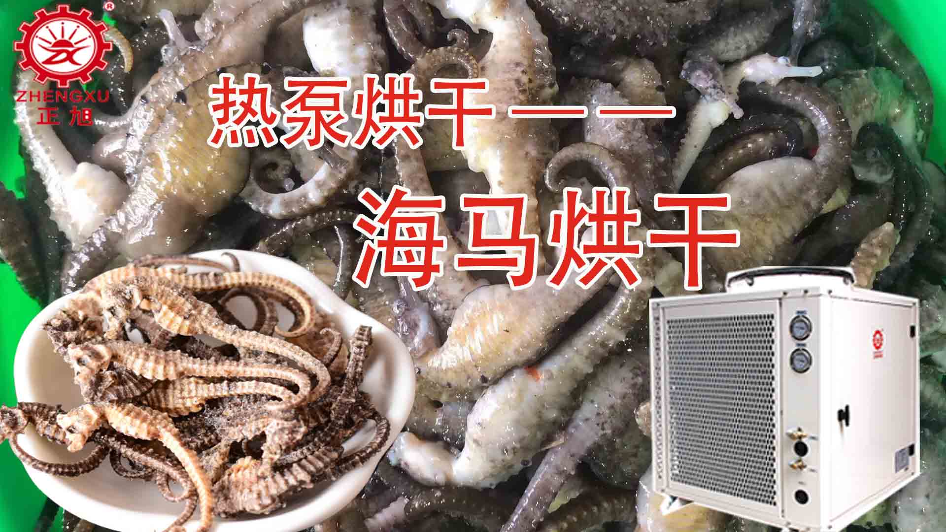 海馬熱泵烘干方法詳解（含研粉、清洗、宰殺、烘干時間）