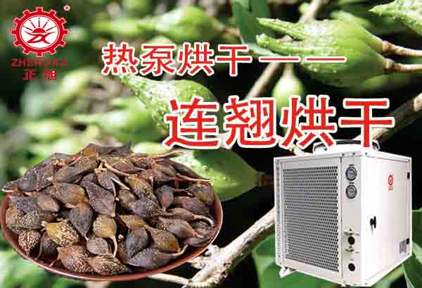 一噸連翹熱泵烘干需要多少錢？「熱泵烘干廠家」為你解答